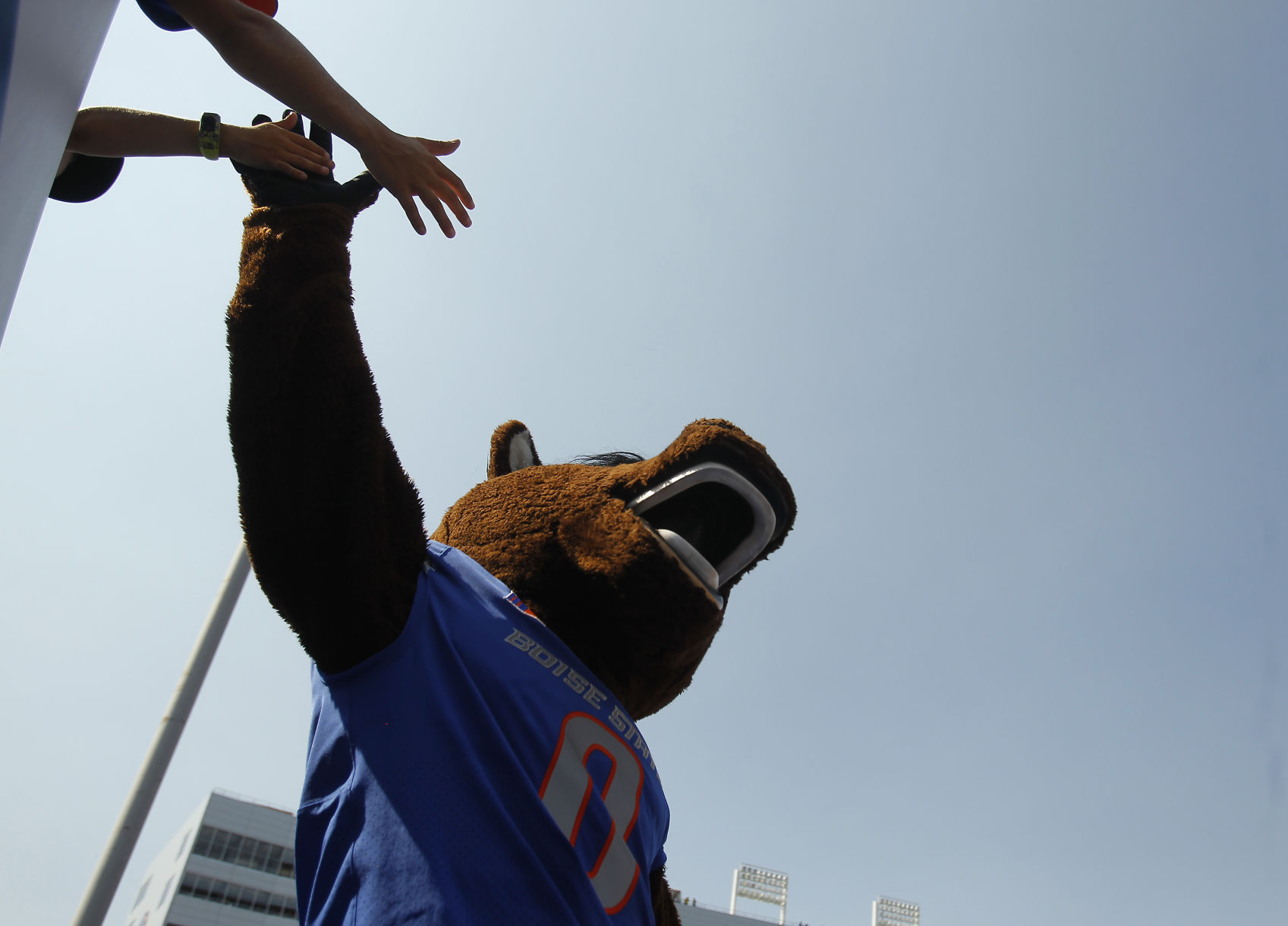 Football - Boise State Vs. Troy
